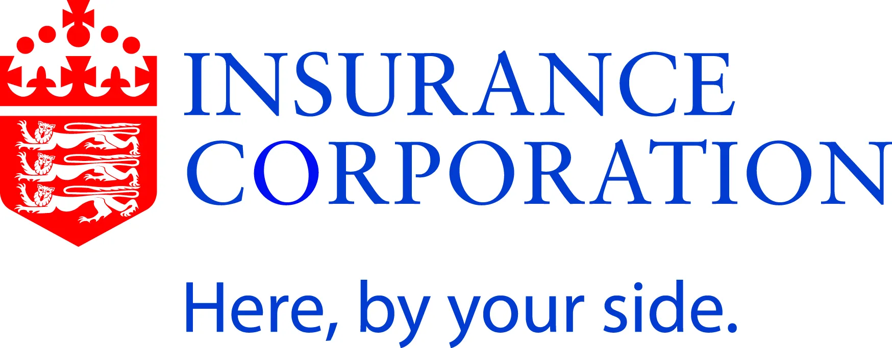 American Alternative Insurance Corporation: A Comprehensive Guide