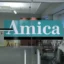 Amica auto insurance reviews Overview Customer Satisfaction Pricing