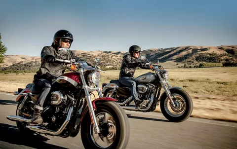 Harley Davidson Insurance: Ride with Peace of Mind